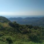 Lost in Corsica