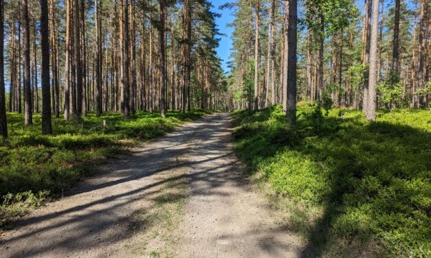 TET Suède jour 3 : 50 nuances de vert