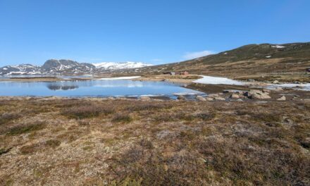 TET Norvège J10 : après le Ventoux, l’Aigoual norvégien !