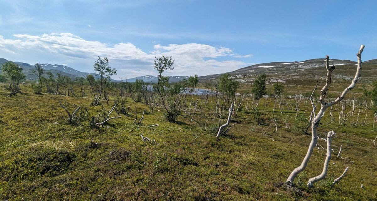 TET Norvège J19 : Le Cap Nord !!