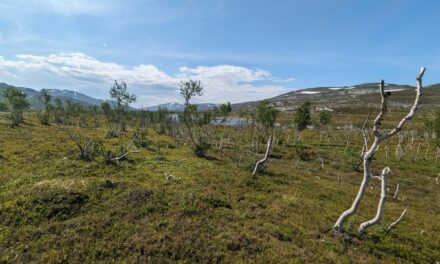 TET Norvège J19 : Le Cap Nord !!